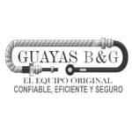 Guayas B y G
